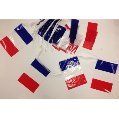 Guirlande France en Plastique - 10 m (20 drapeaux 20 X 30)