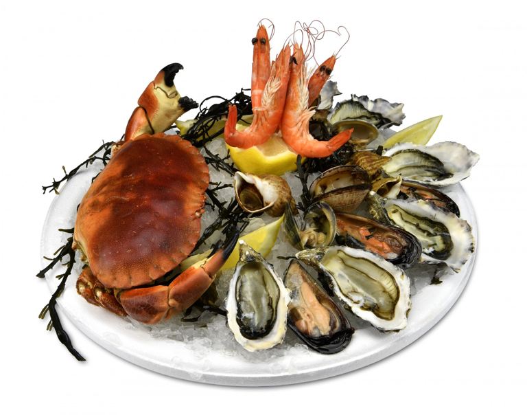 02248 Boniface Coquillages -Le Solitaire