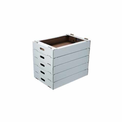 Plateau / Caisse de Transport - 640 x 420 x 100 mm