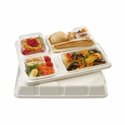 Kit Plateau Repas en Pulpe de Canne - Couvercle + 4 assiettes - 390 x 300 x 55 mm