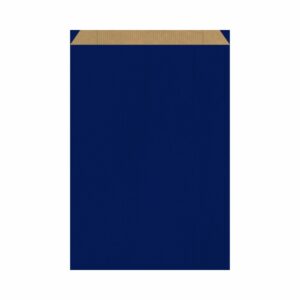 Emballage cadeau - Sachet cadeau couleur bleu