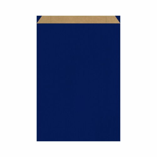 Emballage cadeau - Sachet cadeau couleur bleu
