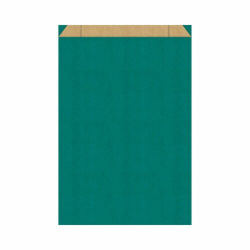 Emballage cadeau - Sachet cadeau couleur vert lagon