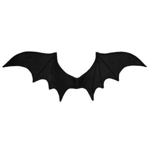 Ailes de chauve-souris