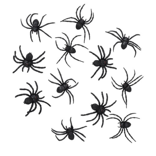 Araignées en plastique noir