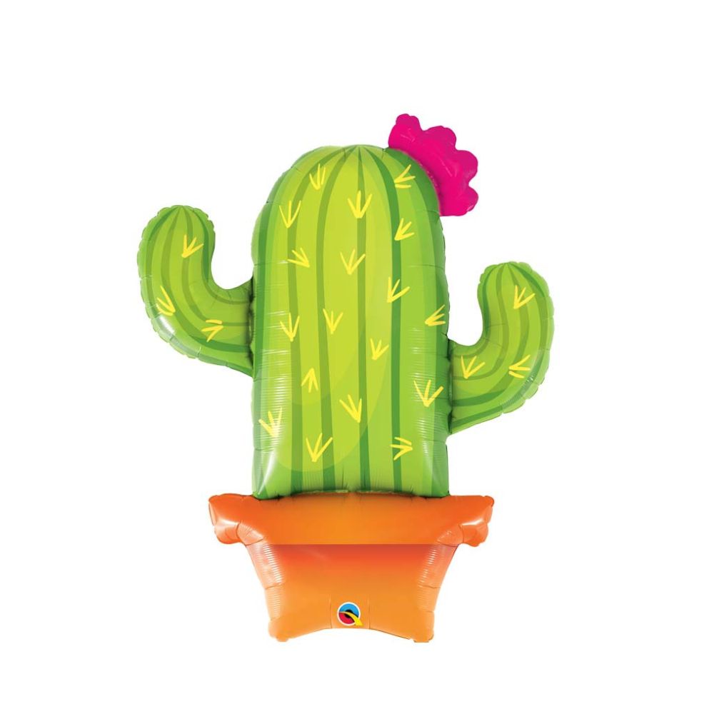 maison-deffes-fete-ballon-forme-cactus-72M0007
