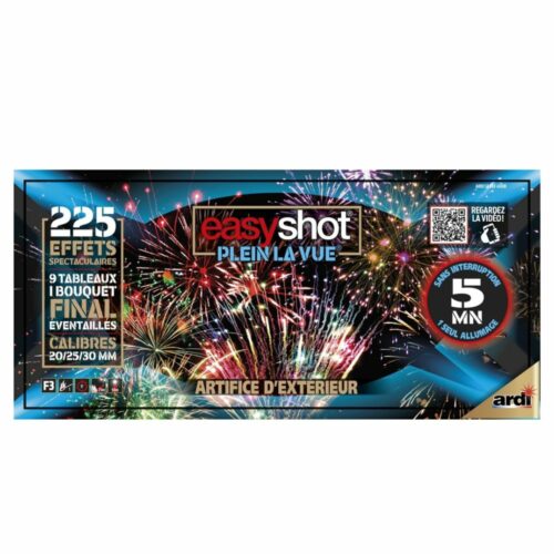 Feu d'artifice EasyShot Plein La Vue - 5 minutes